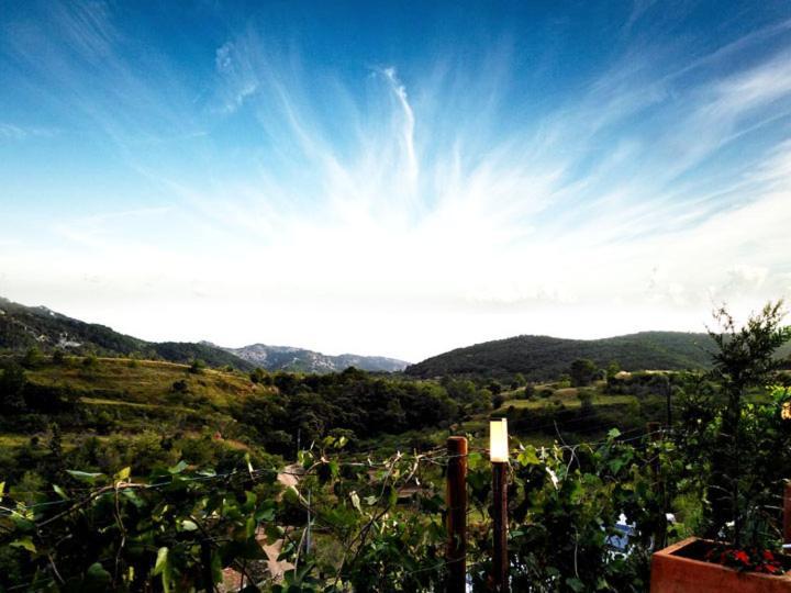 Hotel La Tinensa Puebla de Benifasar المظهر الخارجي الصورة